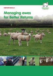 Monitoring Monitoring ewe health and body condition is essential when wintering at grass, as some ewes may not cope as well as others.