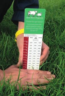 Estimating grass supply This starts with measuring grass dry matter per hectare (DM/ha).