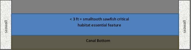 Sea level increases would affect the shallow-water essential feature of smalltooth sawfish critical habitat within the CHEU.