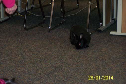 Common Sense For Animals was visiting our school and had all different visitors for