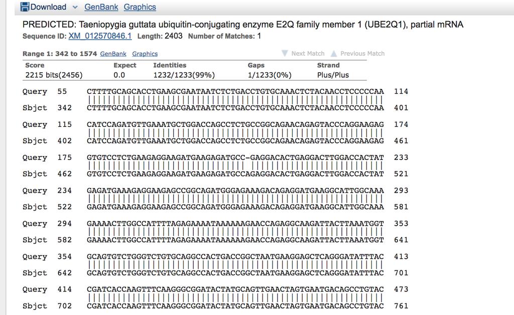 Results Click on a particular species to find out more specific information, including the classification scheme (scientific name), the protein that the sequence codes