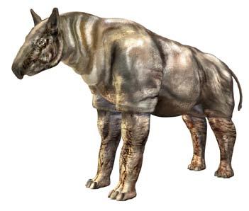 Giant Mammals After the extinction of the giant reptiles, giant mammals began to rule the world.