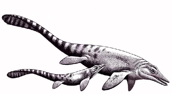 That s Koolasuchus (KOOL-ah- SOOK-us), an enormous amphibian, about 17 feet (5 m) long, that lives in swampy forests 137 million to 112 million years ago.