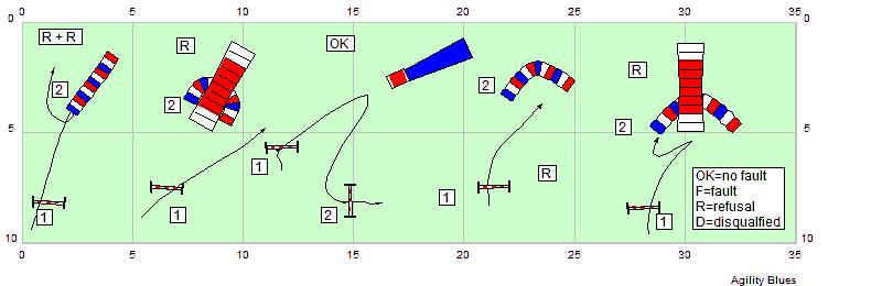 Examples: 1. Dog goes correctly in the tunnel, come back(1 st R), passing the RL of the tunnel(2 nd R) = R + R 2. Dog lands before the RL of the next obstacle, passing this line once = R 3.
