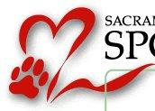 Sacramento s Data o Community-wide adoption initiative Cat adoptions increased 17% from the same