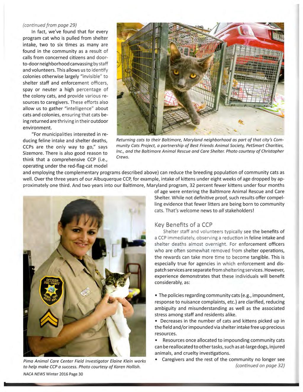 (continued f rom page 29) In fact, we've found that for every program cat who is pulled from shelter intake, two to six times as many are found in the community as a result of calls from concerned
