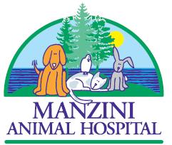 Canine Spay and Neuter Services At Manzini Animal Hospital When your dog is booked in for his/her surgical procedure it can be a very anxious time for you, but here at Manzini we strive to ensure