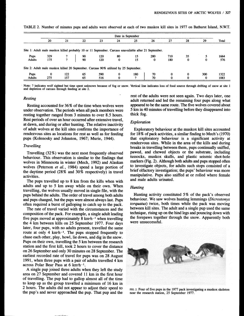 RENDEZVOUS SITES OF ARCTICWOLVES / 327 TABLE 2. Number of minutes pups and adults were observed at each of two muskox kill sites in 1977 on Bathurst Island, N.W.T. Date in September 25 24 20 23 21 22 Total Site 1: Adult male muskox killed probably 10 or 11 September.
