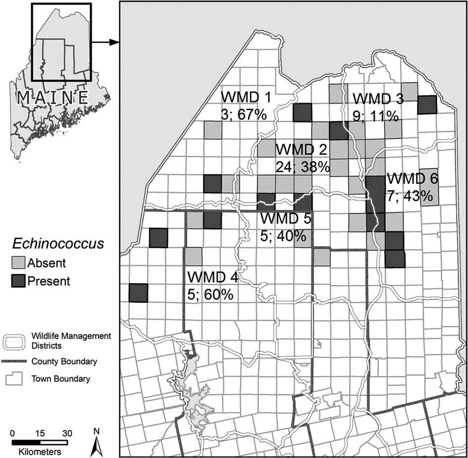 ALCES VOL. 50, 2014 LICHTENWALNER ET AL. E. GRANULOSUS G8 IN MAINE Fig. 1. Map of Wildlife Management Districts (WMD) and townships in the northern Maine study area.