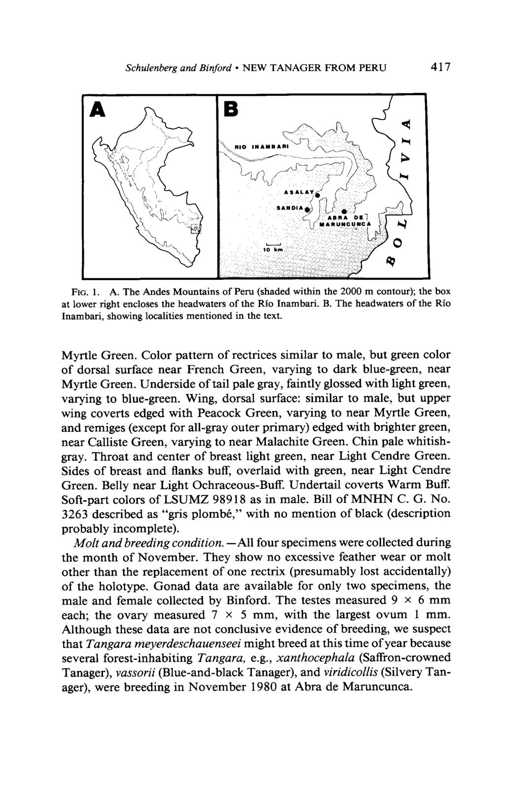 Schulenberg and Binford l NEW TANAGER FROM PERU 417 FIG. 1. A. The Andes Mountains of Peru (shaded within the 2000 m contour); the box at lower right encloses the headwaters of the Rio Inambari. B. The headwaters of the Rio Inambari, showing localities mentioned in the text.