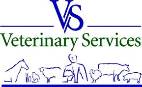 A Non-Traditional Veterinary
