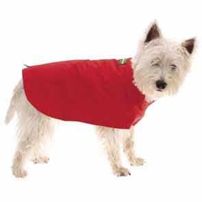dog coats Waterproof raincoats - a wardrobe essential for