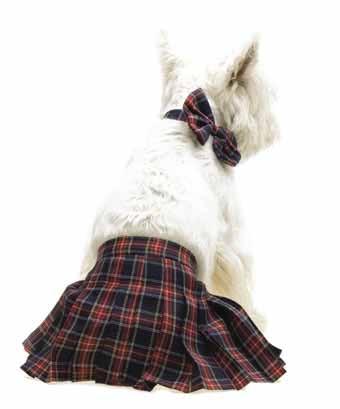 Doggy tartan kilts with matching bow tie come in two adjustable sizes: Small 14-18
