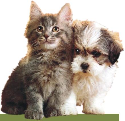 PUPPY/KITTEN WELLNESS PACKAGES! Spring is a time when we think about new life, so it seems fitting that we offer a special promotion for puppies and kittens.