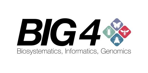 BIG4: Biosystematics, informatics and genomics of the big 4 insect groups- training