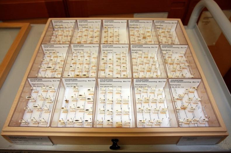 Danish collection, faunistics Synoptic collection >600 drawers Mogens Holmen