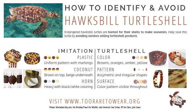 Turtleshell Jewelry SEE Turtles is leading a campaign to end the purchase of handicrafts made from the shell of critically endangered