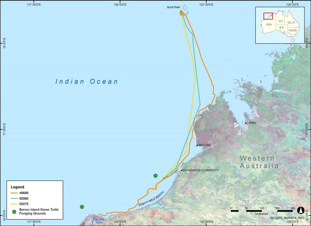 Figure 3-3: Migration routes south following nesting at Sandy Islet, Scott Reef (identified foraging locations from Pendoley 2005).