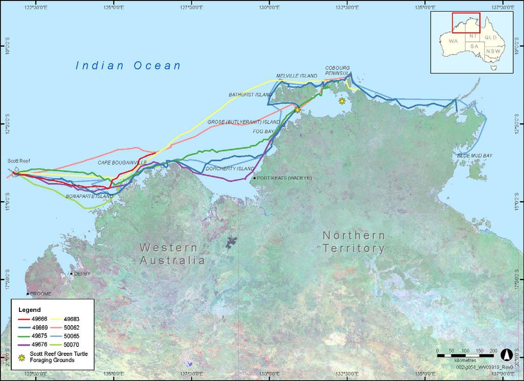 Scott Reef Green Turtle Satellite Tracking Report #1 Figure 3-4: Migration routes north-east following nesting at Sandy Islet, Scott Reef (identified foraging
