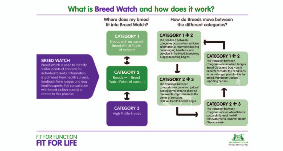 THE KENNEL CLUB DOG HEALTH GROUP ANNUAL REPORT 2013 BREED STANDARDS AND CONFORMATION SUB-GROUP REMIT To advise on conformation related health issues as they relate to Breed Standards.