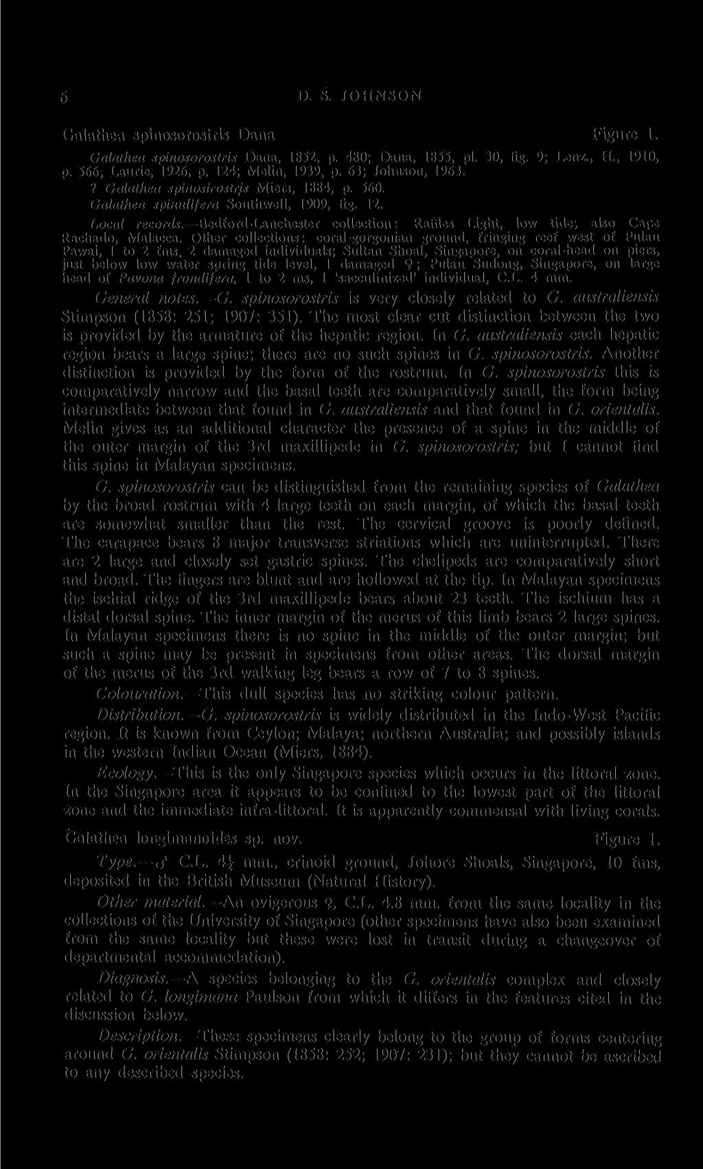 6 D. S. JOHNSON Galathea spinosorostris Dana Figure 1. Galathea spinosorostris Dana, 1852, p. 480; Dana, 1855, pi. 30, fig. 9; Lenz., H., 1910, p. 566, Laurie, 1926, p. 124; Melin, 1939, p.