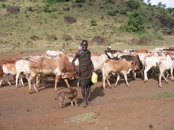Culture Profession Common trend: Pastoralists know