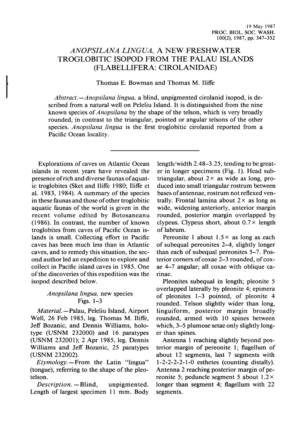 19 May 1987 PROC. BIOL. SOC. WASH. 100(2), 1987, pp. 347-352 ANOPSILANA LINGUA, A NEW FRESHWATER TROGLOBITIC ISOPOD FROM THE PALAU ISLANDS (FLABELLIFERA: CIROLANIDAE) Thomas E. Bowman and Thomas M.