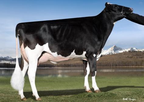 Spring-Fling Scottsdale ~ Holstein Sale & Seminar UPDATES Wednesday, March 4th, 2015 Scottsdale, AZ Hospitality 4-5 p.m. Live Auction 5-7 p.m. Lot 1 The highest (tie) GTPI female ever offered at public auction!