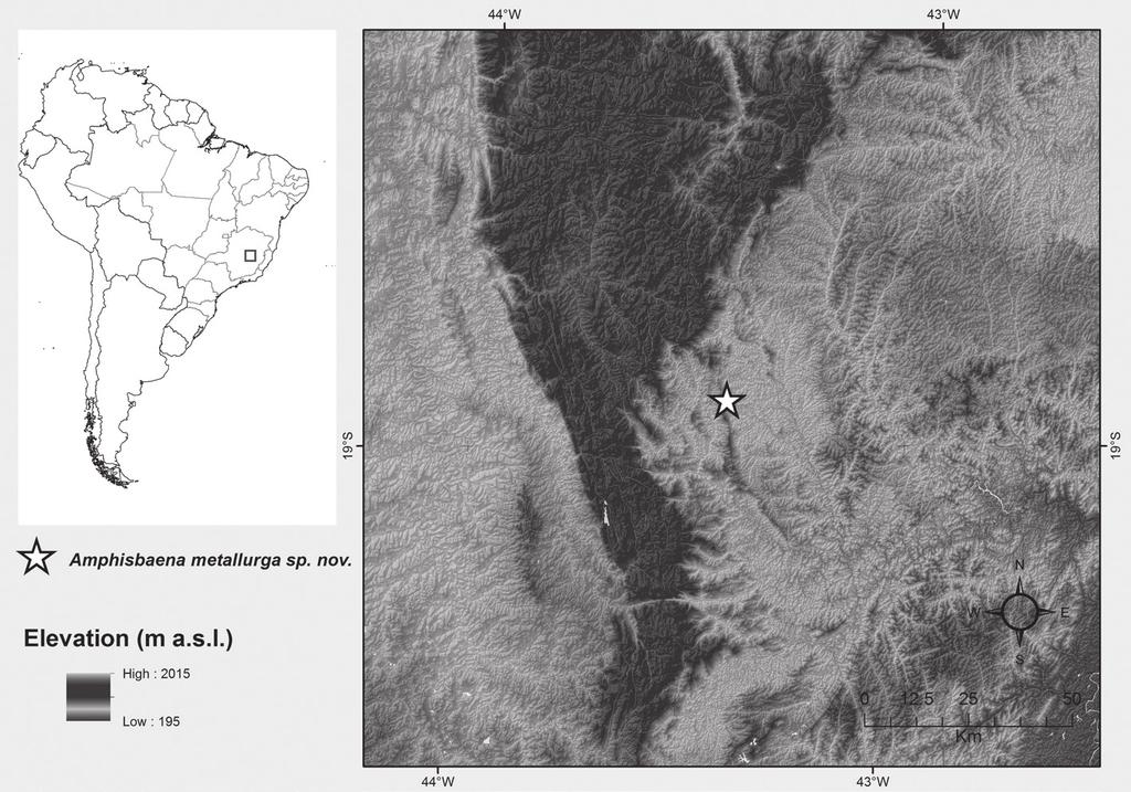 894 HENRIQUE C. COSTA et al. Figure 2 - Map representing the type locality of Amphisbaena metallurga sp. nov. (FUNED 2943) in Conceição do Mato Dentro, state of Minas Gerais, Brazil.