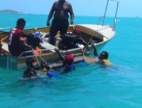 Working with the community to understand the use of space by dugongs and green turtles in Torres Strait transmitted to satellites.