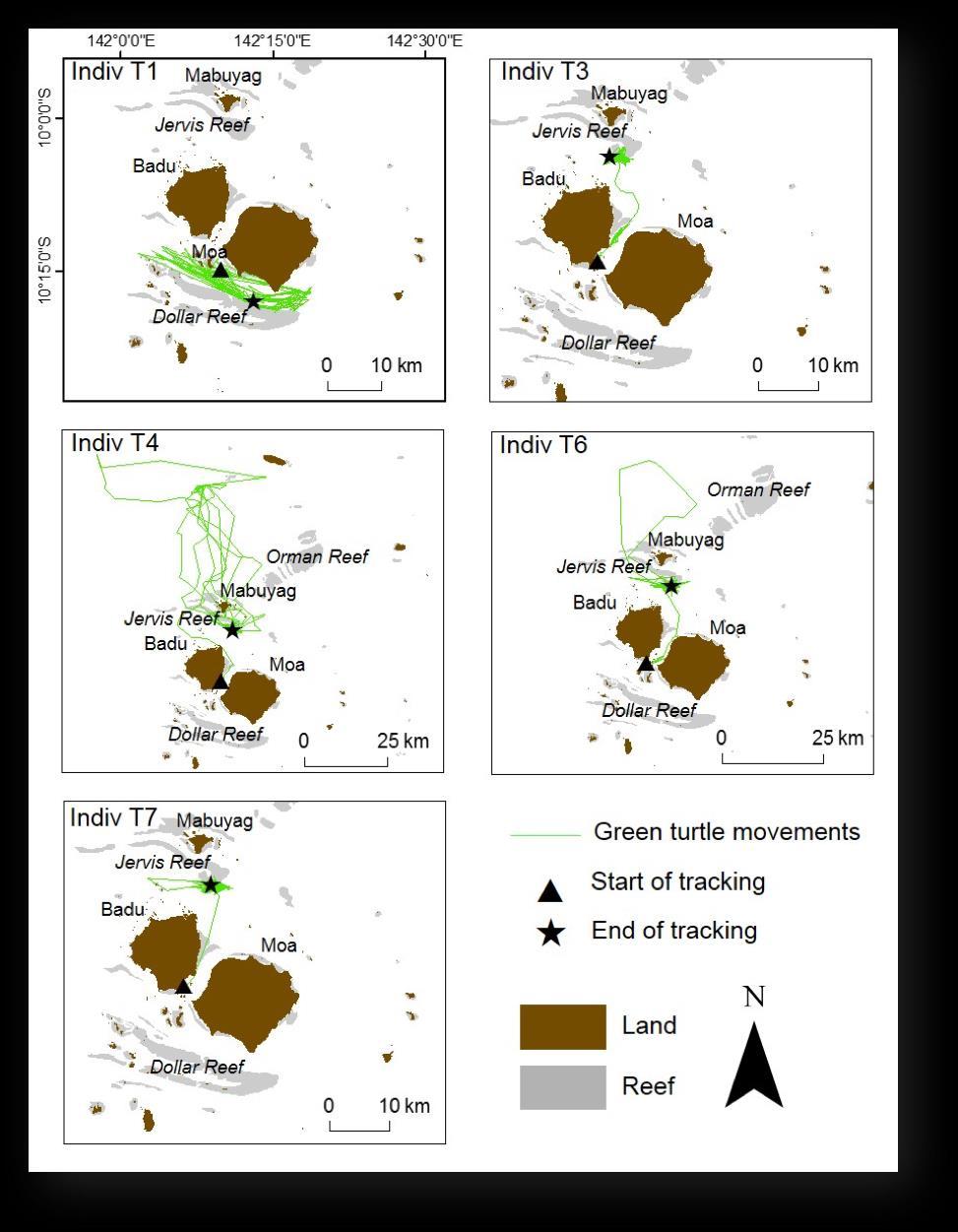 Working with the community to understand the use of space by dugongs and green turtles in Torres Strait Figure 5: Movements of the five non-migrating green turtles caught and tagged near Badu