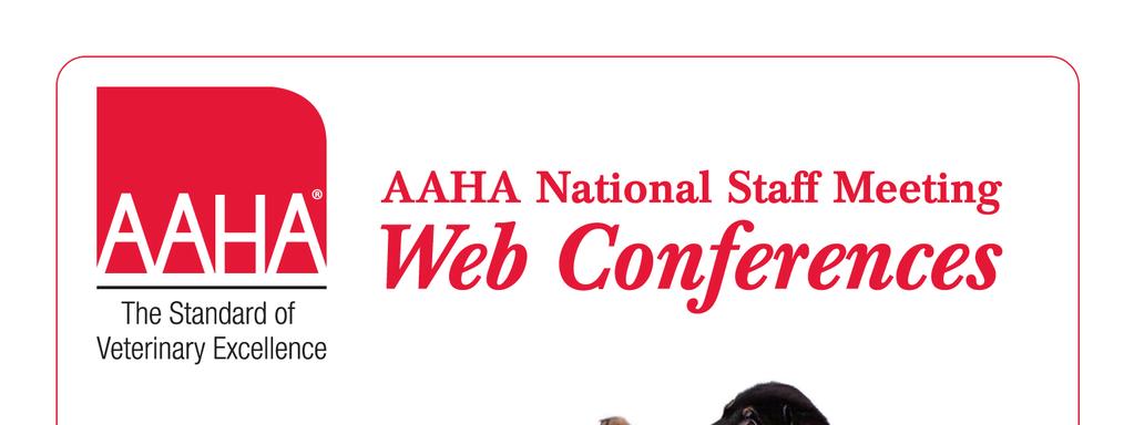 The AAHA Canine Life Stage Guidelines in