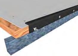 Characteristics P Profile: Prevention of the spectators from skateboards flying off the ramp Diameter 60 mm Thickness 10 mm over riding surface 110 mm Mounted on the