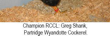 Champion Duck: Tanis Poultry White Runner C. Res. Champion Duck: Tyler Messer White Call C. Champion Goose: Lucas Dickerson, Gray Tolouse C. Res. Champion Goose: Lucas Dickerson, Buff Toulouse C.