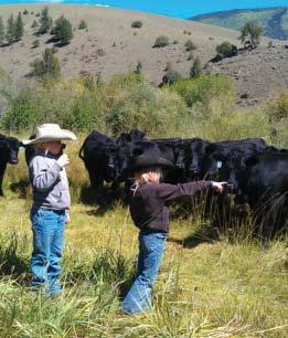 T-Heart Ranch High Altitude Bull Sale Saturday March 23, 2013 @ 1:00 pm Southern Colorado Livestock, Monte Vista Sale Day Phone...719-852-9500 Auctioneer-Andrew Conley...706-781-8656 Shane Temple.