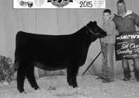LOT 34a fbf your smiling stocked 090y X gcc irish whiskey OFFERING 3 EMBRYOS Club Calf Producers take note.