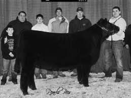 And did I mention she is bred to SS Goldmine??? If it is a female make a reservation in your donor lot. If it is a bull I would say a ¾ with a hall of fame pedigree will move any program forward.