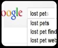 3 Advertise! Report the loss at every online lost pet listing service you can find.