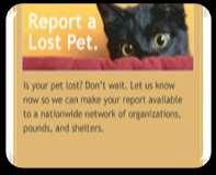 Print convenient lost pet flyers right from your pet's profile in our Homeward Bound Pet