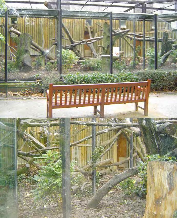 Chapter 4 The Animal Department IMAGE 18: Example of a redecorated enclosure for Mandrill (Mandrillus sphinx).