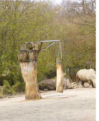 IMAGE 23: Large tree trunks installed in an enclosure for rhinos in Osnabrück