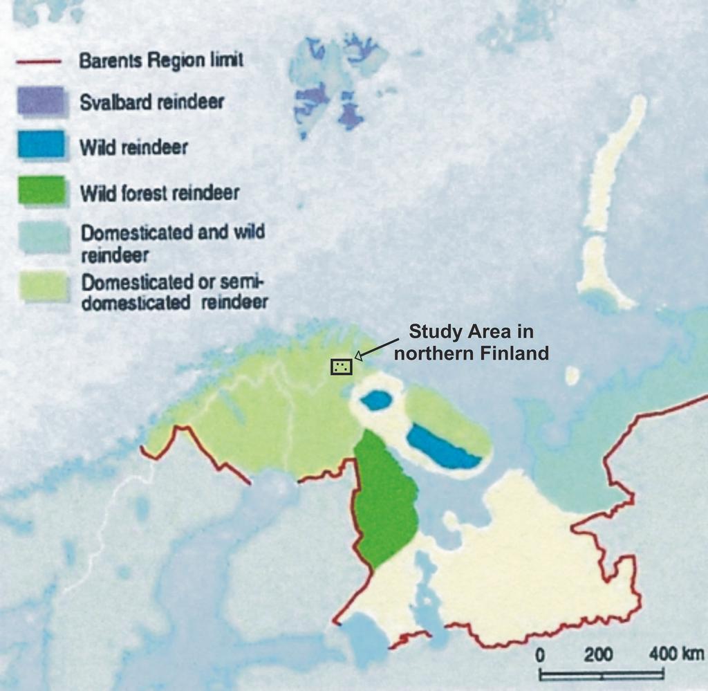 Figure 3. Map of the study area in which semi-domesticated reindeer were examined for nematode parasites of northern Finland. (After Rekacewicz, 1998).
