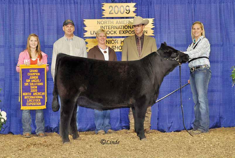 2 RCC-NFF Wicked - dam of Lot 1 1 NFF RCC Wicked E259 3/4 SM 3/4/17 3268668 E259 SVF Steel Force S701 WLE Big Deal A617 Shawnee Miss 770P Duff New Edition 6108 dam.