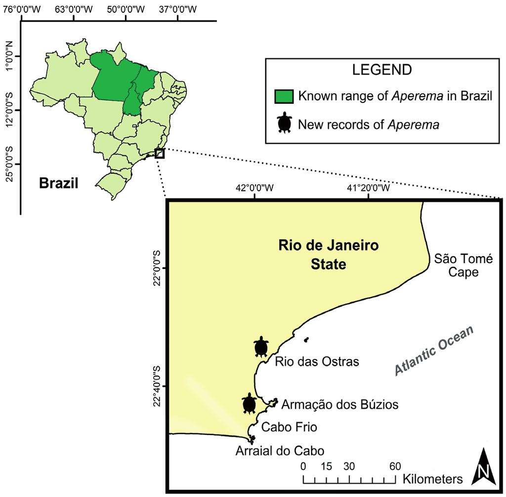 668 Salvatore Siciliano et al. Figure 1. Location records of specimens of Aperema (Rhinoclemmys punctularia) found in the coastal plains of eastern Rio de Janeiro state, Brazil.