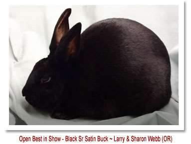 American Satin / Mini Satin Rabbit Breeders Association Sponsored by the Zierlein Family Glenda Weiss, PO Box 255, Mason, MI 48854 989-795-2730 glweiss@hotmail.