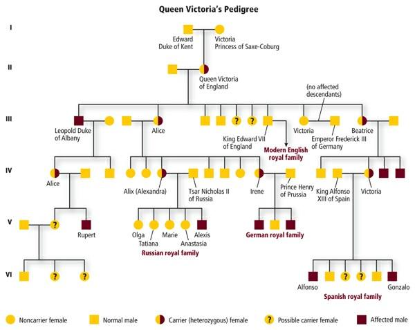 Figure 10 The pedigree above shows the inheritance of hemophilia in the royal families of England, Germany, Spain, and Russia, starting with the children of Queen Victoria.