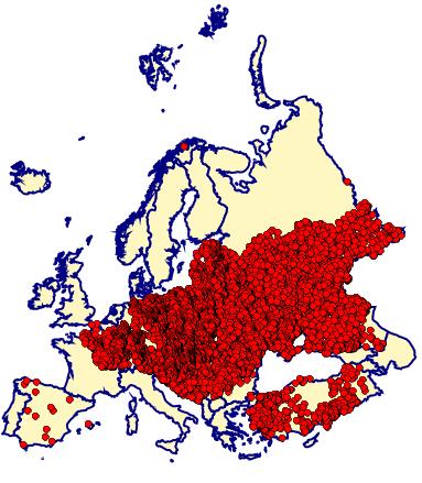 Evolution of the rabies situation in the EU Constant reduction of the