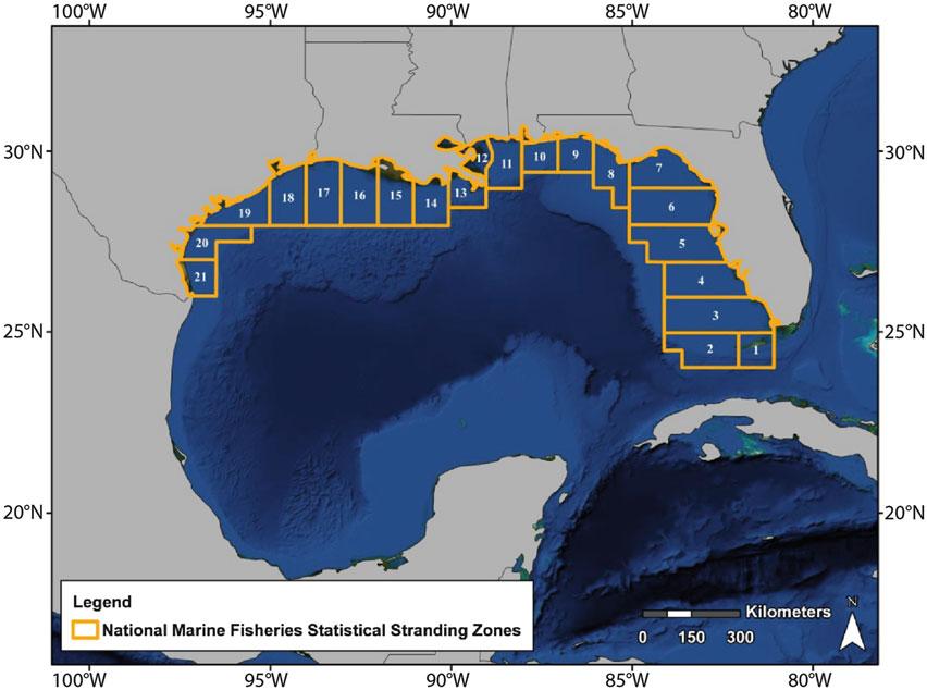1294 R.A. Valverde and K. Rouse Holzwart Figure 11.50. National Marine Fisheries Service statistical stranding zones for the U.S. Gulf of Mexico (from STSSN 2012).
