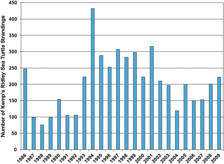 Sea Turtles of the Gulf of Mexico 1295 11.7.4.1 Kemp s Ridley Sea Turtle Strandings From 1986 through 2009, 4,960 live and dead Kemp s ridleys were reported stranded on U.S. Gulf of Mexico beaches (STSSN 2012).