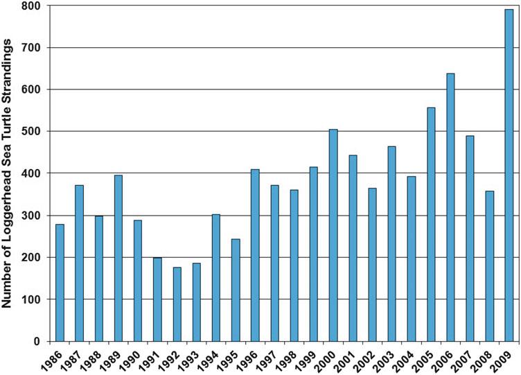 1300 R.A. Valverde and K. Rouse Holzwart Figure 11.57. Number of reported loggerhead sea turtle strandings (both live and dead turtles) on U.S.